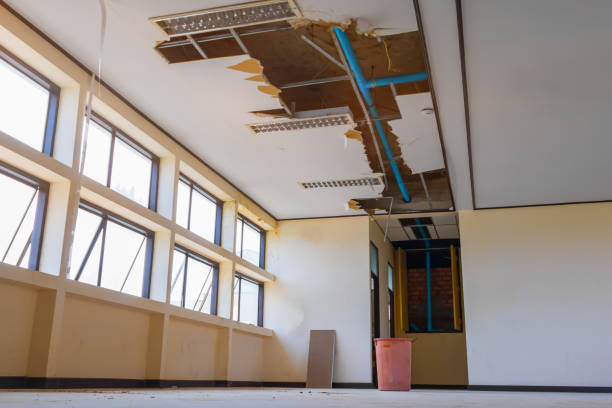Water damage restoration experts in MI