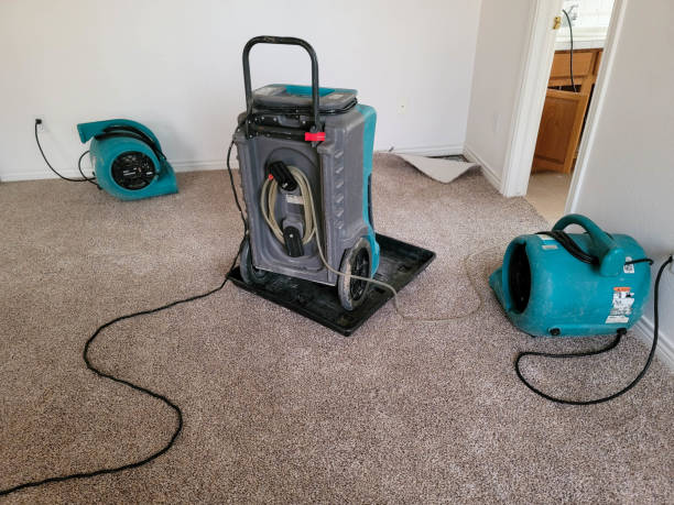 Best Water damage contractors near me  in Hazel Park, MI