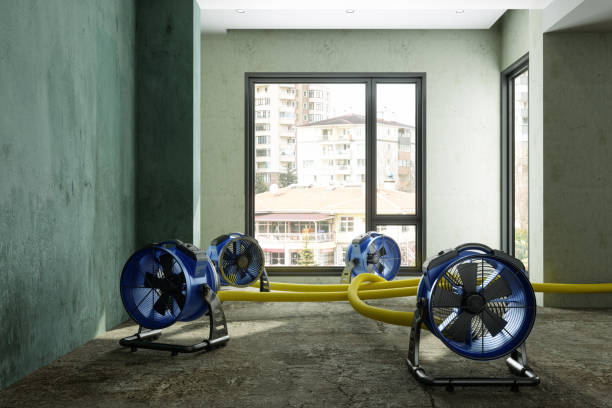 Best Water damage cleanup near me  in Hazel Park, MI